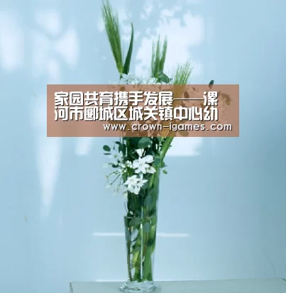 家园共育携手发展——漯河市郾城区城关镇中心幼儿园开展家委会活动“SPORTS”(图3) 爱游戏棋牌