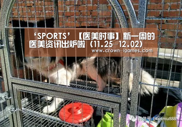 爱游戏体育全站