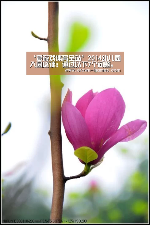 ‘爱游戏体育全站’2014幼儿园入园必读:通过以下7个问题,看宝宝能否上幼儿园(图1) 爱游戏体育下载